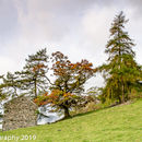 Langdale Barn in colour