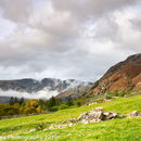 Mist in the valley