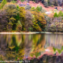 Reflections in full colour