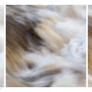 Movement triptych