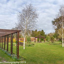 Spring Flowers at Burnby Hall