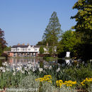 Spring Flowers at Burnby Hall