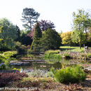 Spring Flowers at Burnby Hall