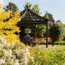 Spring Flowers at Burnby Hall
