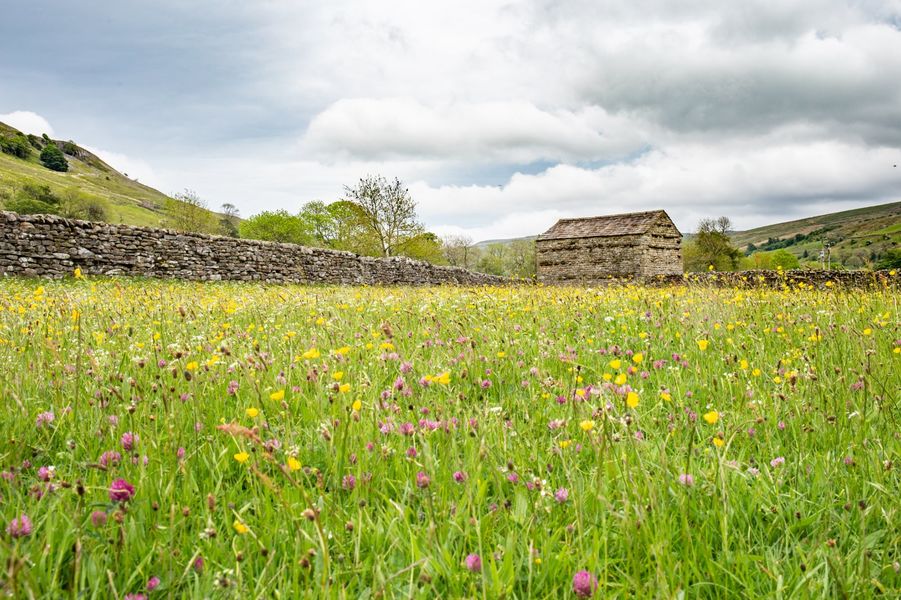 Small Group Landscape Workshop - Full Day - Yorkshire Dales