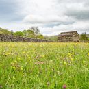 Small Group Landscape Workshop - Full Day - Yorkshire Dales