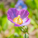 IMG 6996