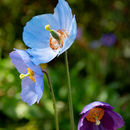 IMG 7057