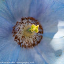 IMG 7059