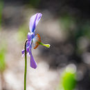 IMG 7090
