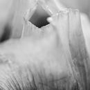 IMG 7374