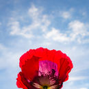 IMG 7473