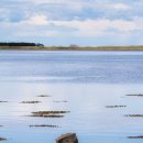 Calm waters in Budle Bay looking towards Lindisfarne