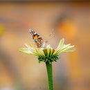 IMG 7901