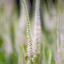 IMG 7996