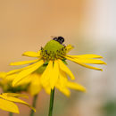IMG 8093