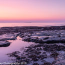 Pre-Dawn colours