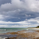 Cloudy Bamburgh
