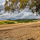 Wolds fields