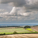 Towards the Vale of York
