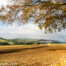 Yorkshire Wolds fields