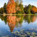 Burnby Hall in full autumn colour