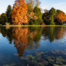 Burnby Hall in full autumn colour