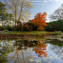 Burnby Hall Reflections