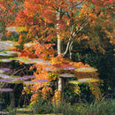 Autumnal reflections???