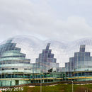 The Sage