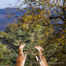 Put em up!!!