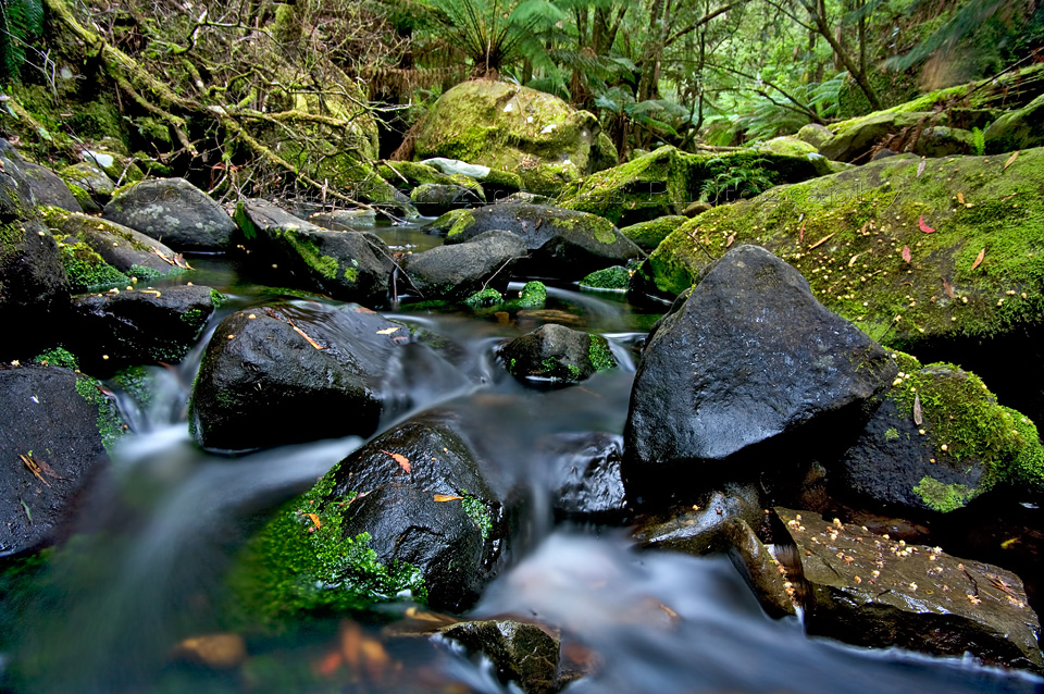 Black Rocks