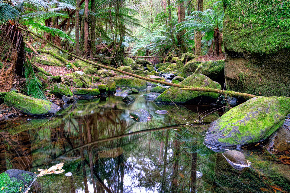 Erskine river, rocks and rainforest