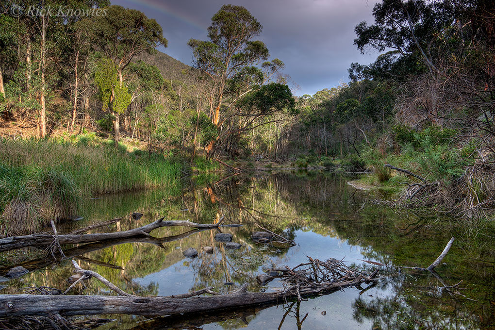 Still Water, Lerderderg Gorge.