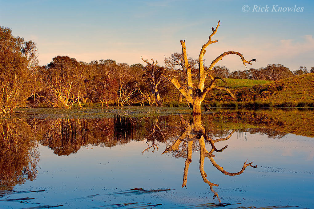 Mirror Image, Deans Marsh