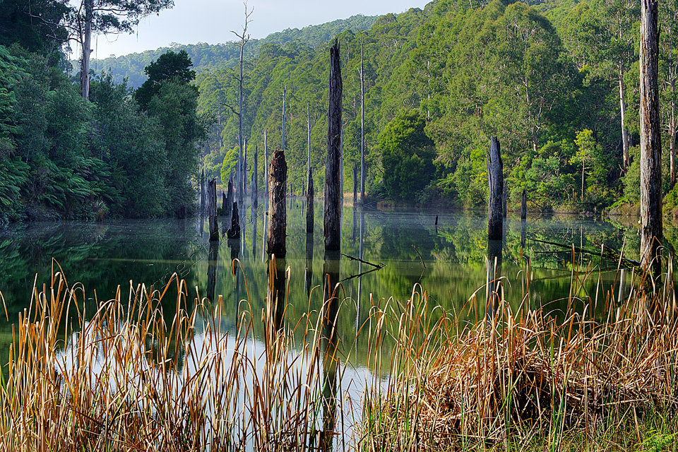 Lake Elizabeth