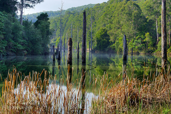 Lake Elizabeth