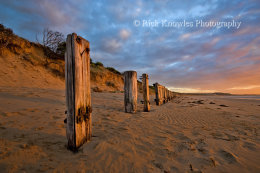 Posts, Raafs Beach