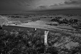 Windswept, Black and White