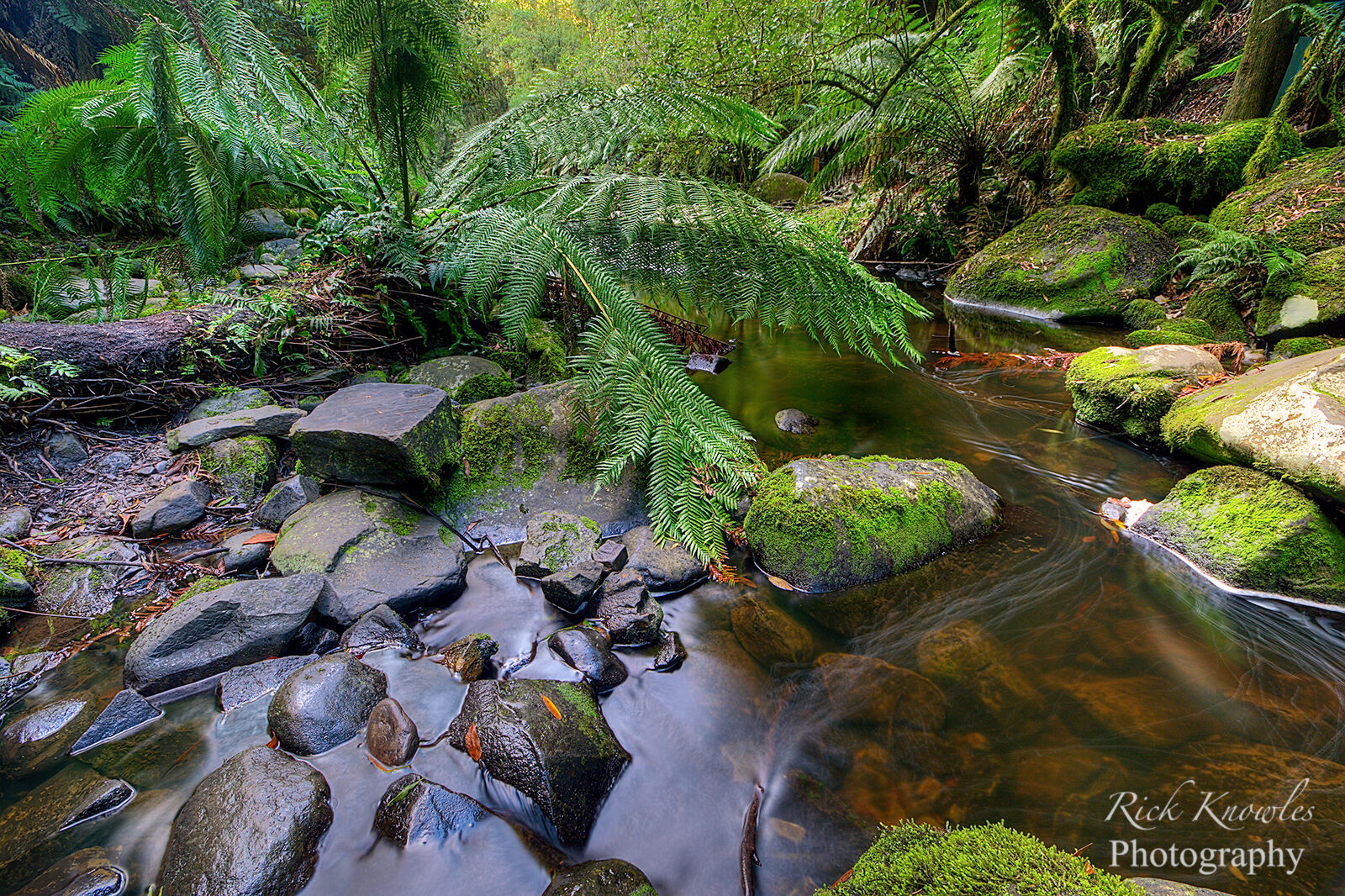Erskine River