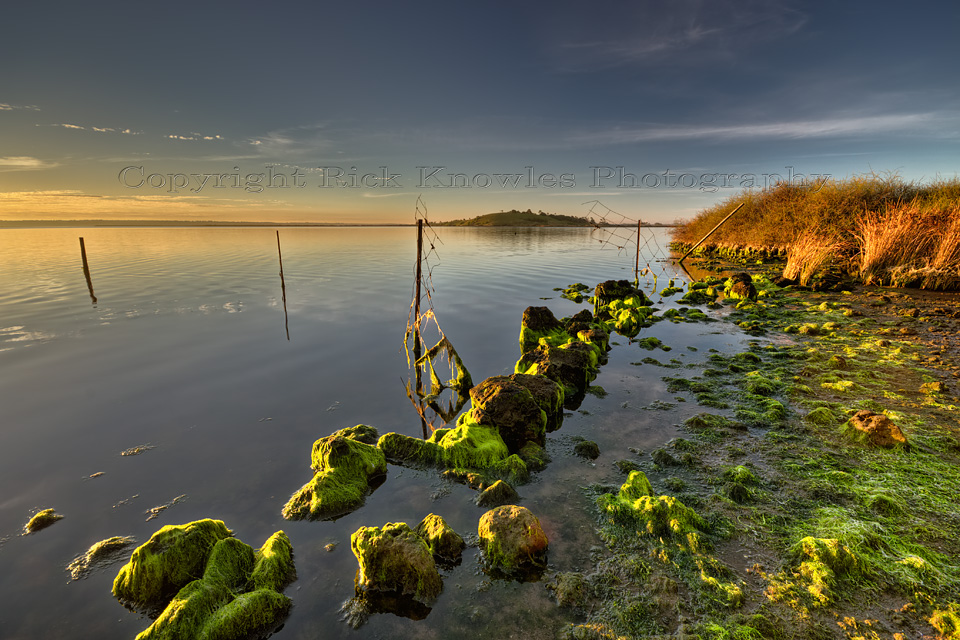 Lake Connewarre