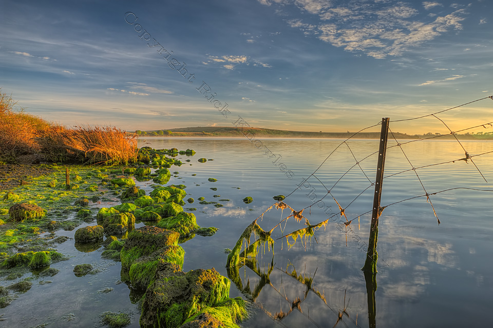 Wire Fence, Lake Connewarre