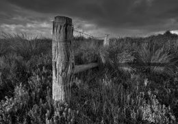 Barb-wire fence