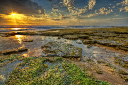 Bells Beach Summer