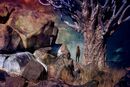 Beyond the Quiver Tree-CA-Elliott-Sonia-MG