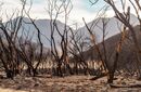 Burnt Hell