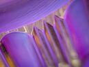 Crystal Abstract