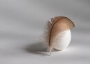 Elegant egg