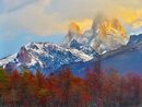 Golden Light