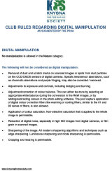 Digital Manipulation Rules